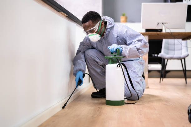 Best Bed Bug Extermination  in Prior Lake, MN